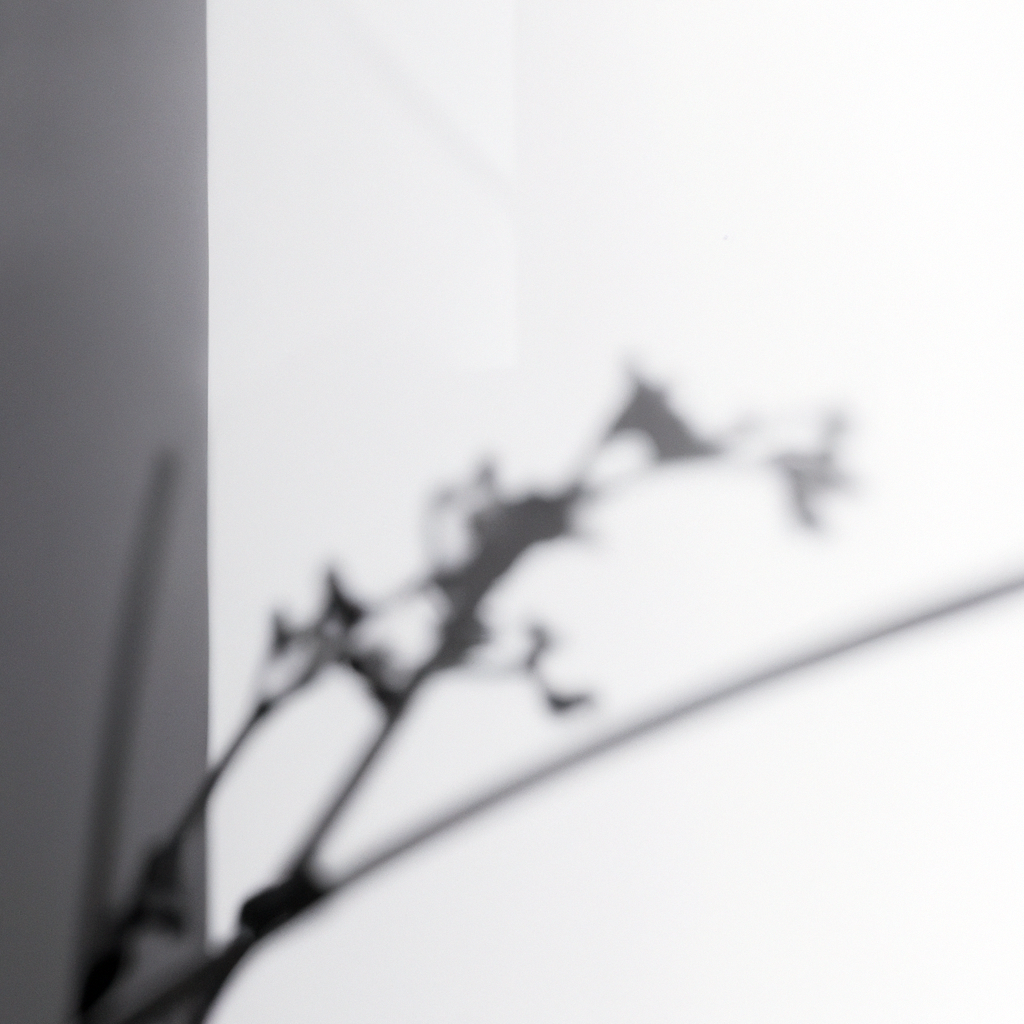 Estudio minimalista con luz natural